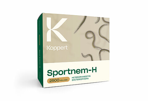Sportnem-H