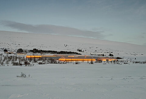 Rådgivning om pollinering av artificiellt upplysta grödor